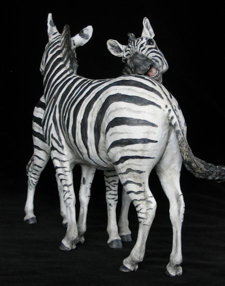 Mutual Grooming Zebras